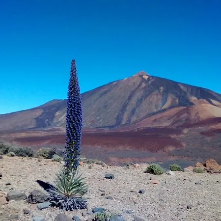 Over Open Sea Apartamento *