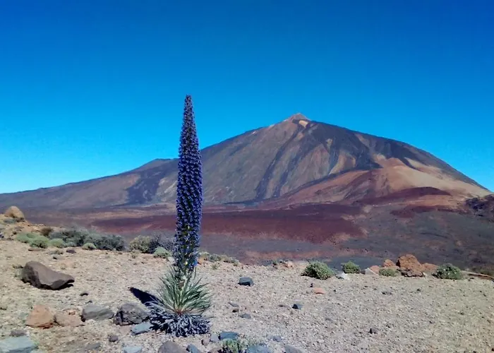 Over Open Sea Appartement *